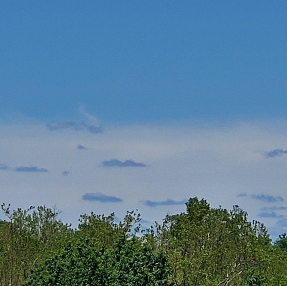 Blue - Picture 5 of 5